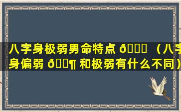 八字身极弱男命特点 🐝 （八字身偏弱 🐶 和极弱有什么不同）